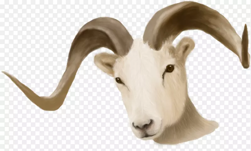 ���򿨳�-������