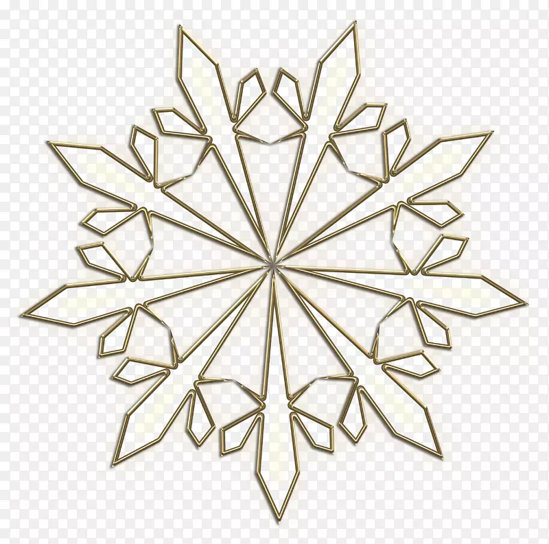 �Գ�����������-������