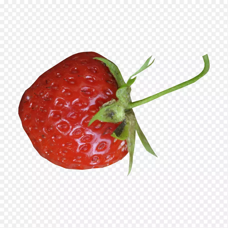 ��ݮ����ˮ��������ȻʳƷ��ݮ-������