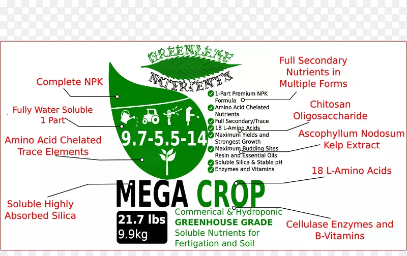 Ʒ��������m-��-����-������