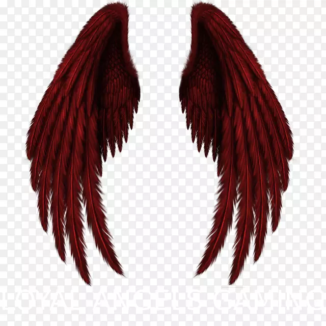 ������pngͼƬ͸��ˮţ���ͼ��-����-������