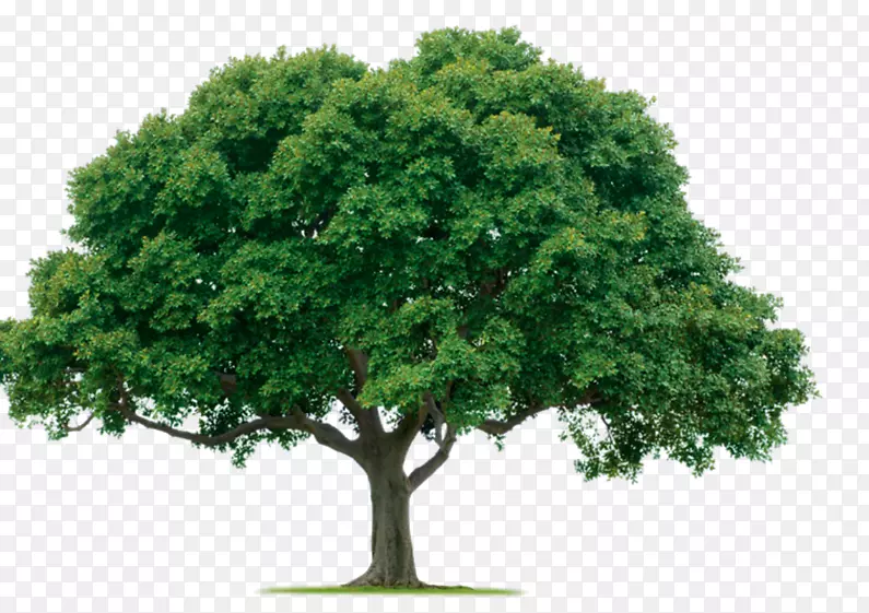 ������pngͼƬ͸����ͼ����-������