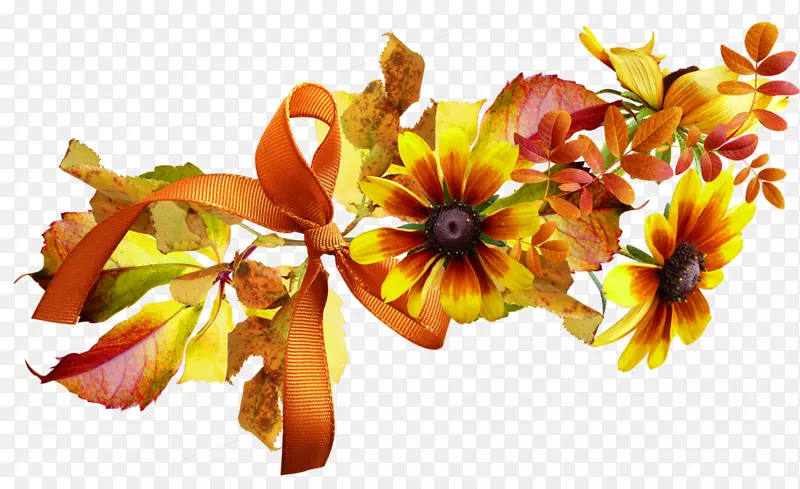 �������＾�ǲ���gifpngͼƬ.�＾-������