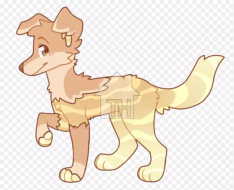 ��������������צ��-������