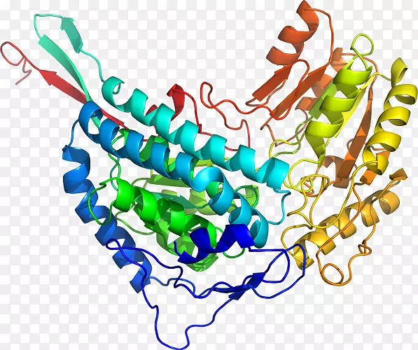 �������л�����������.����������-������