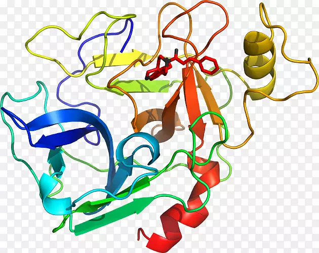 �������廭���л����Ʒ��-������