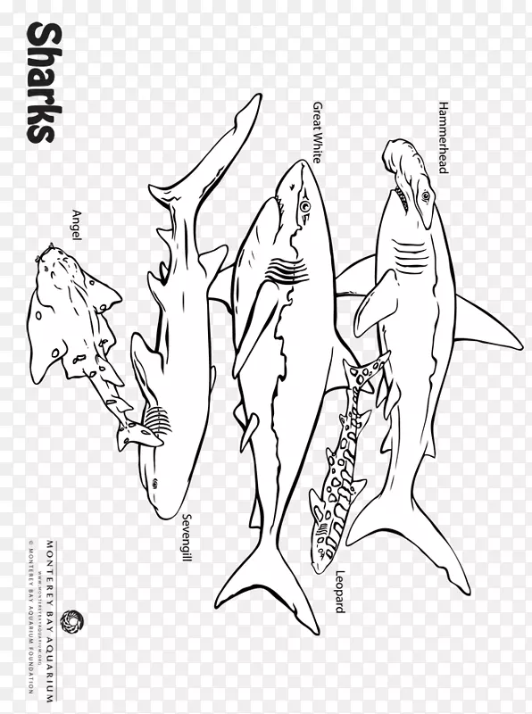 ������ָ�廭�߻�����-������