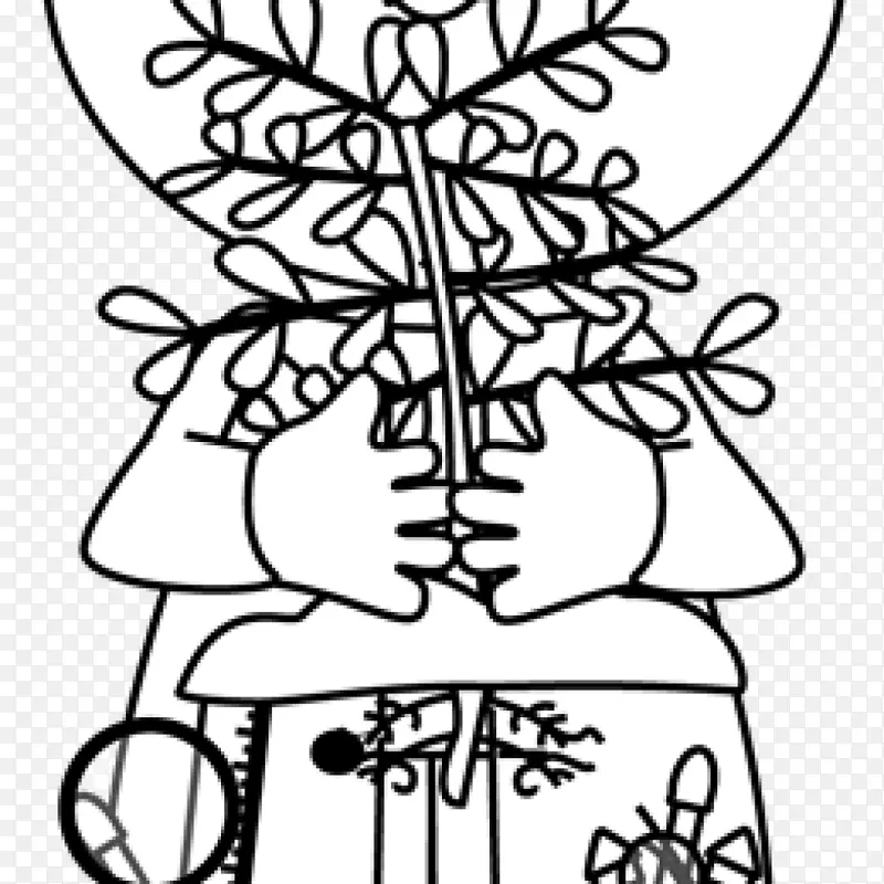 ������ͼ���ѧͼ�ο�ѧ��-��ѧ-������