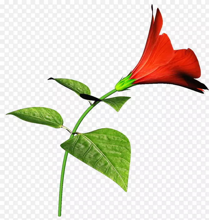 ֲ�ﻨ�격�ͻ�������-���˾�η���ŶӺ�����Ȥ-������