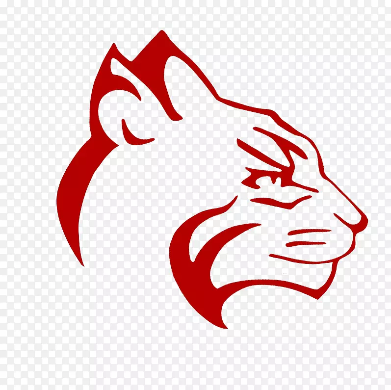 �������廭��������ͨ����-ʷ��˹Сѧ��ʦ-������