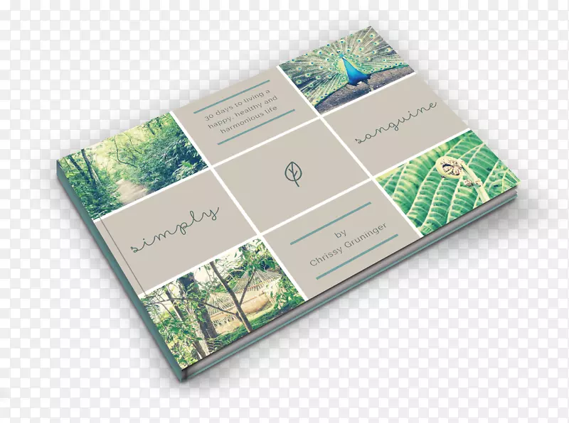 �����ֲ�����Ҹ�����˹���³���񰲵�ɭ����д����-������