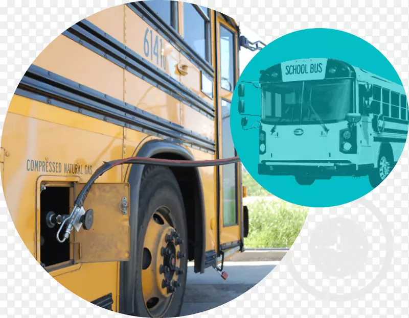 ��Ȼ������ȼ������-������