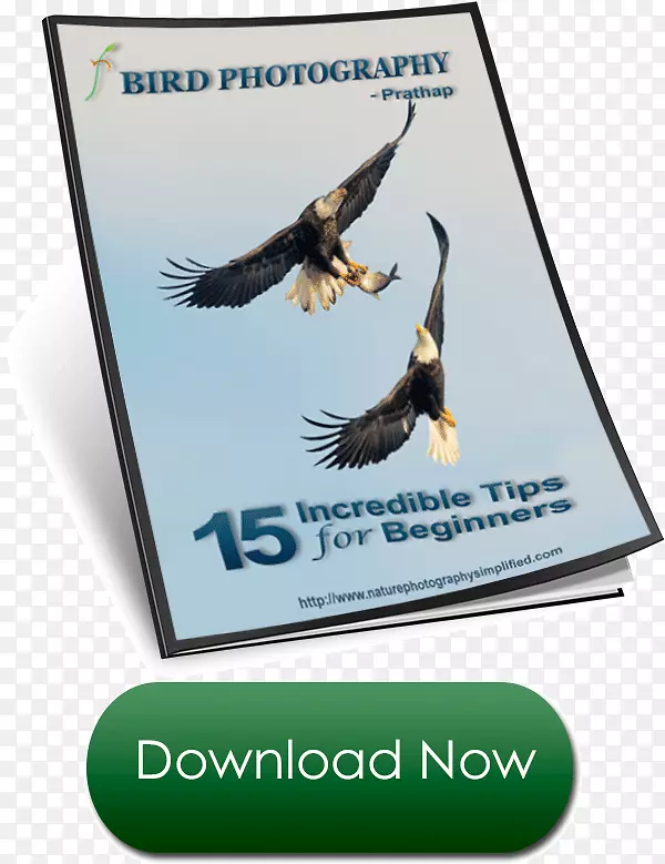 ����Ⱥ���Ʒ�ƶ���.��Ȼ��־׫д��ʾ-������