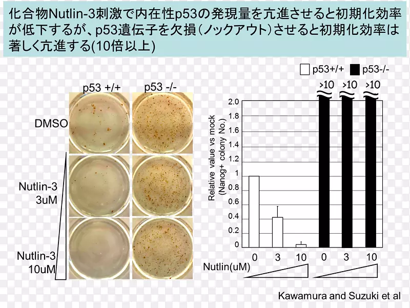 ��Ʒ���ı���Ϣ����-��Ȼ��־д����ʾ-������