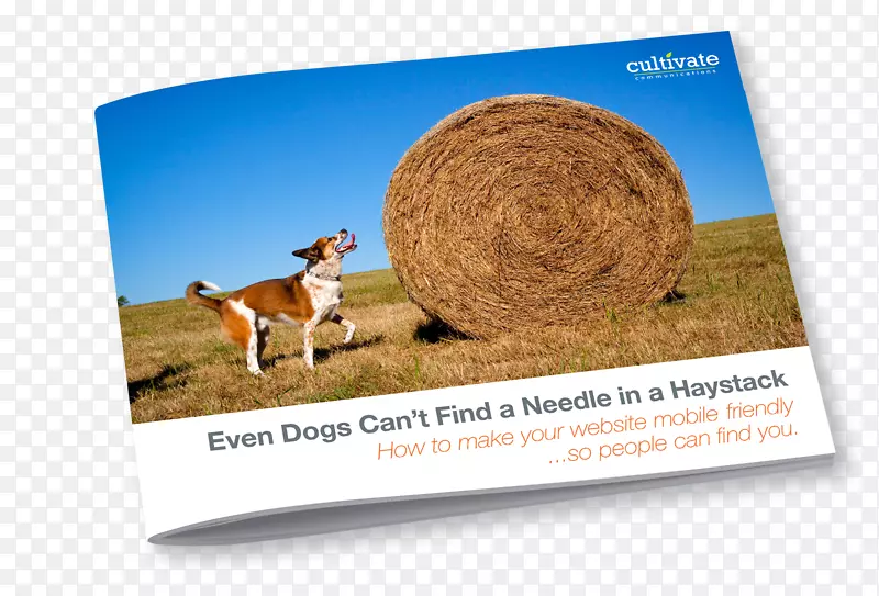 ���Ʒ�Ʋ�Ʒ���Ŷ����Ѻ�������д�鼮-������