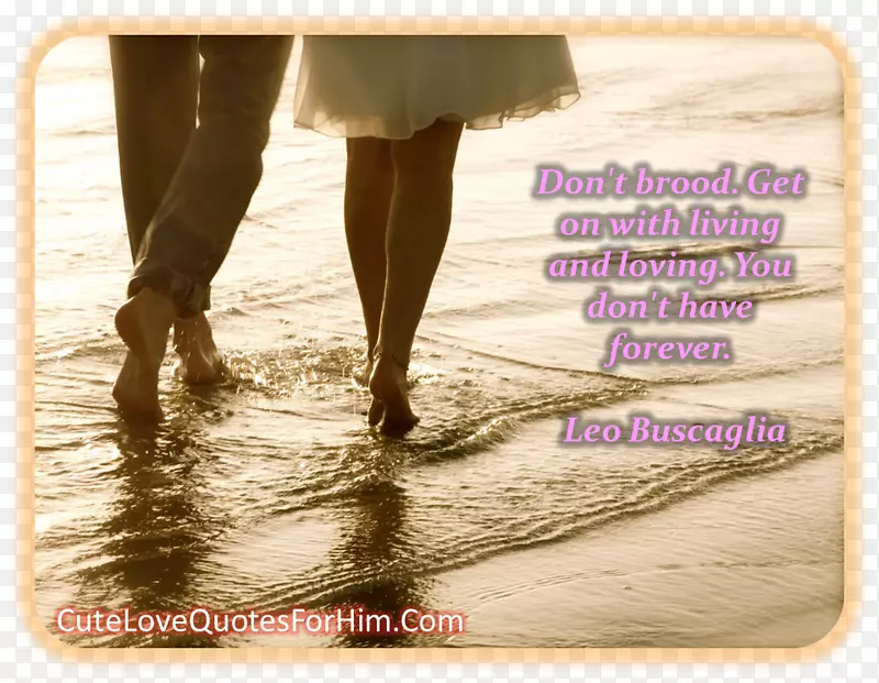 �Ƶ���ɺ���������ܹ�ϵ����-21��ɰ�����������-������