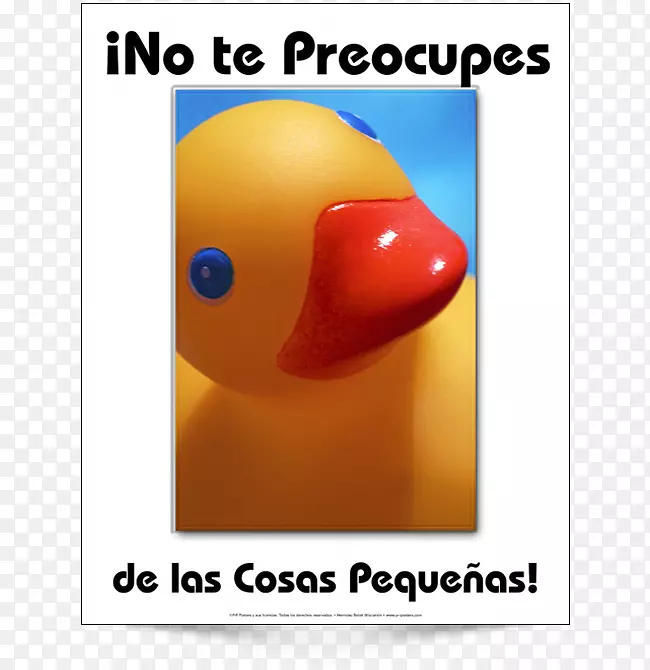 �������-�ŶӾ��񺣱���������-������