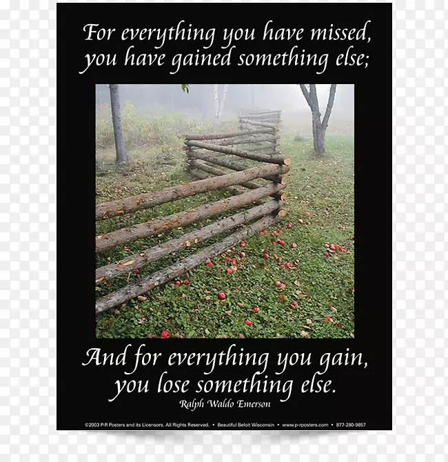 ������.�ŶӾ��񺣱�-������