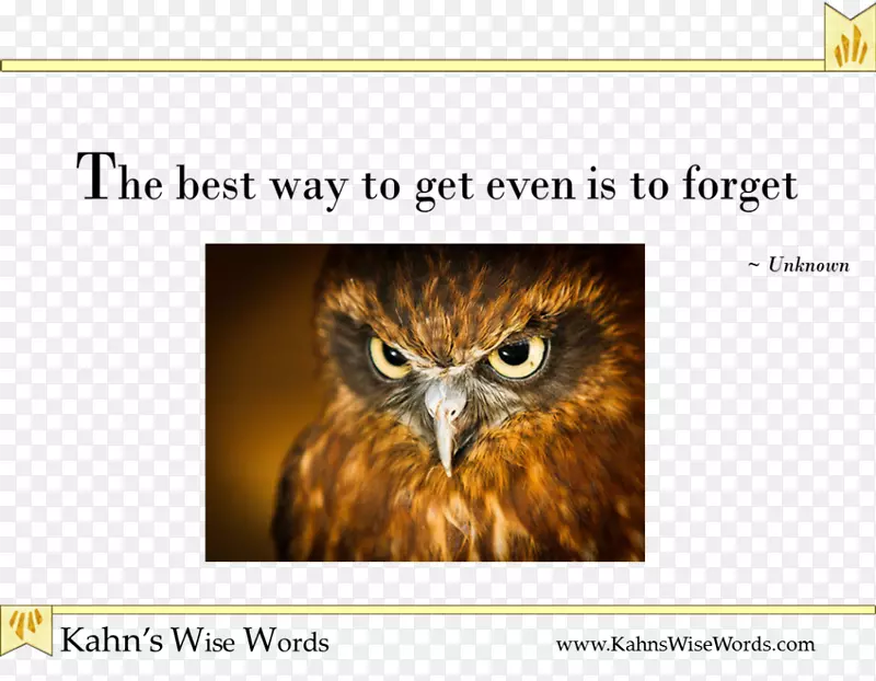 èͷӥ������ֺ�-èͷӥ-������