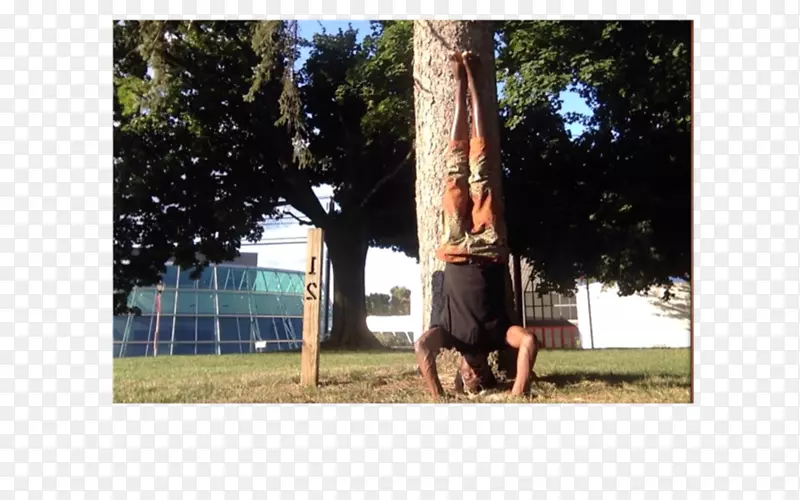 ����-��-������