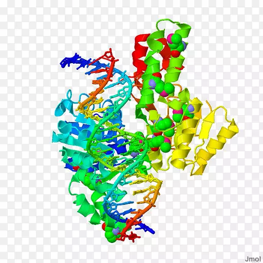 ƽ����������л�������-OMB PEEZYϵ��-������