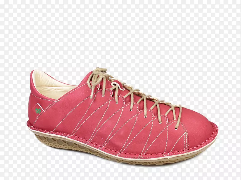 Ь�������ֽ���ѵ�����в�Ʒ.Ů�����õ�˹��Ь-������