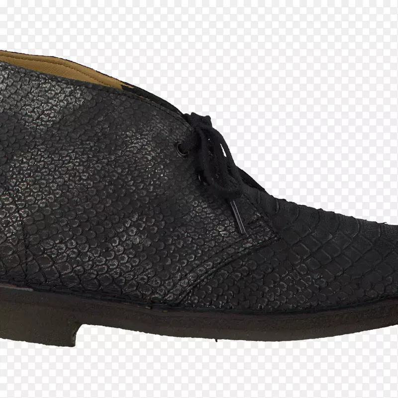 ɽ��ƤЬѥ����ѵ������-������