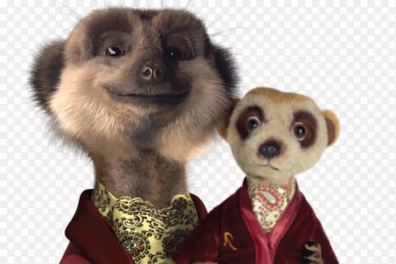 �Ĵ����������˱Ƚ�è���Ƚϳ���-ѩ��-������