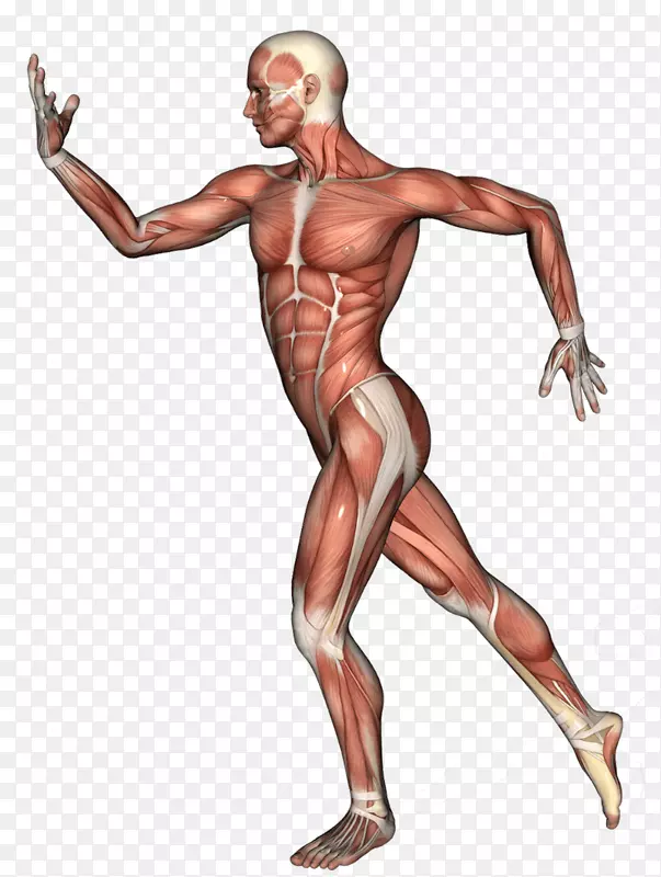 Bioworks��Inc.�ǿ�����Ų������ʼ�-Ů��������ƤЬ-������