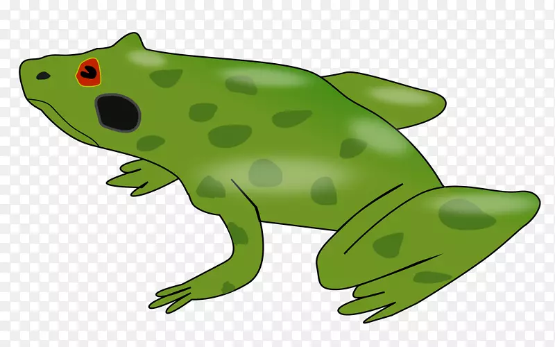 ʳ���������ܶ��������-����-������