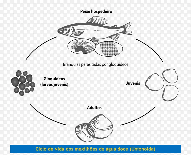 ������������Ʋ�Ʒ��Ʒ�װ���-������