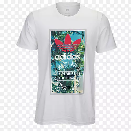 t�����ϴ�˹ԭװ����t��-������