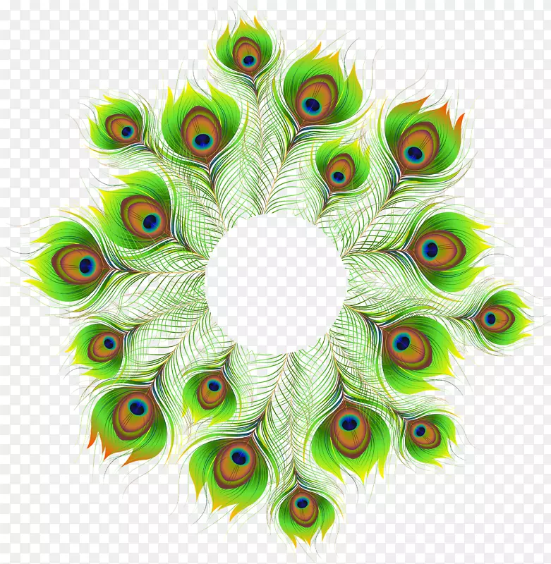 ��ë��ȸ������-��ȸ-������