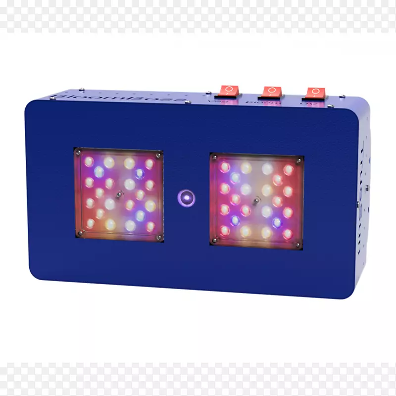 �������������ȫ���׹�����-������