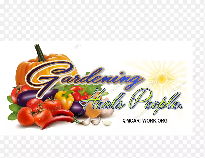 ͼ�μ��������߲�ʳƷ���.�߲�-������