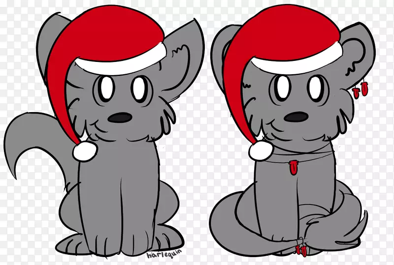 С����è���ӣ���-С��-������