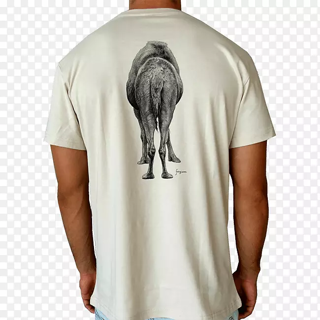 t������綯��t��-������