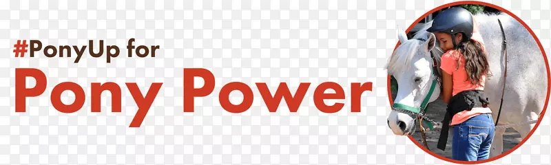 ��Ʒ���Ʒ�Ʊ�־����-���־�����-������