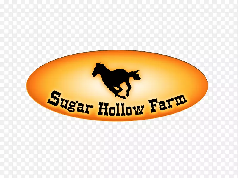 ��Բm��־�������ֶ���-��ƥ�����־�������-������