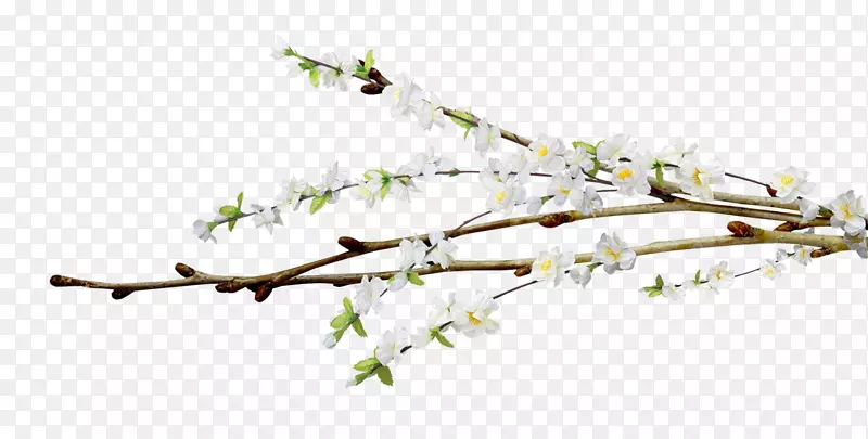 ��ľ��������-����-������