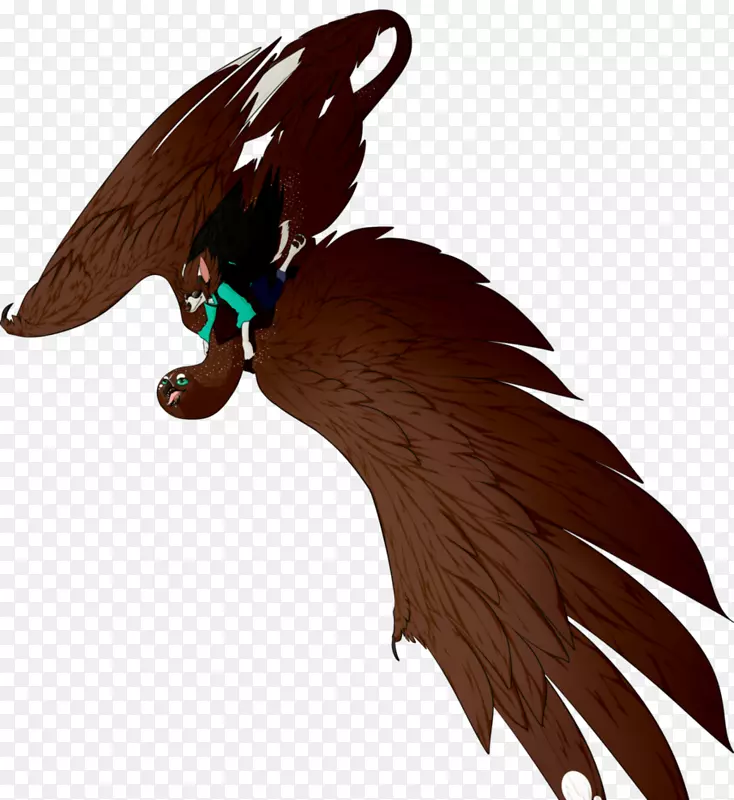 ���ݶ���Ⱥ��ë��-������