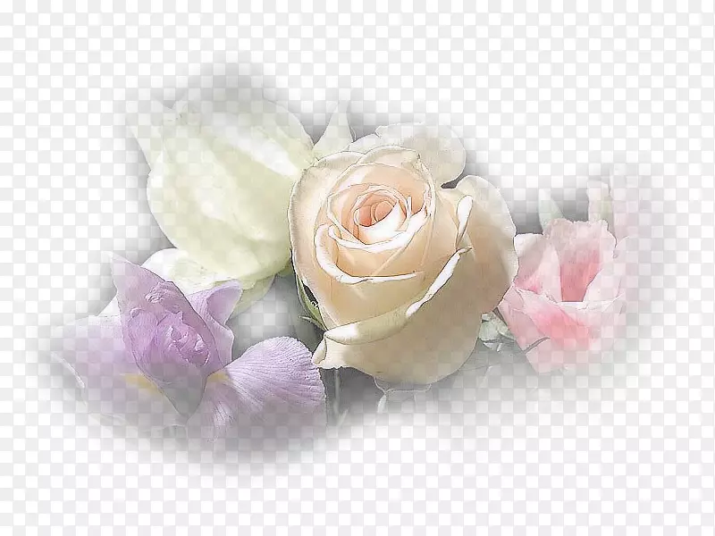 ������԰õ��������л�-������