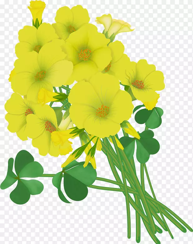 �������Ұ������ͼ��.����-������