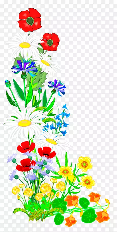 ������Ƽ������廨�廭���ο��⴮-������