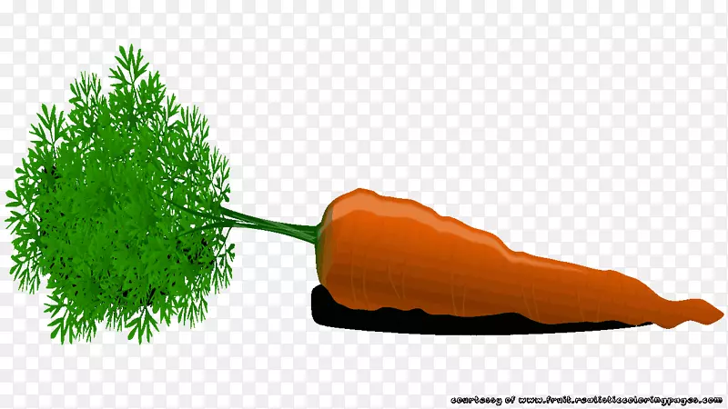 ��Ʒ������ı���Ϣ����-������