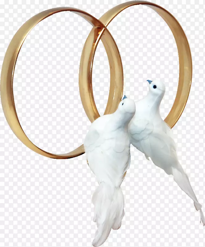 ŷ�ƻ���-���-������