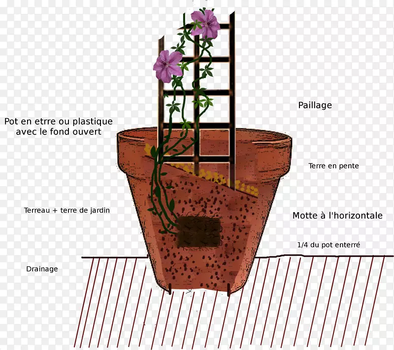 ��Ʒ����л�������-������