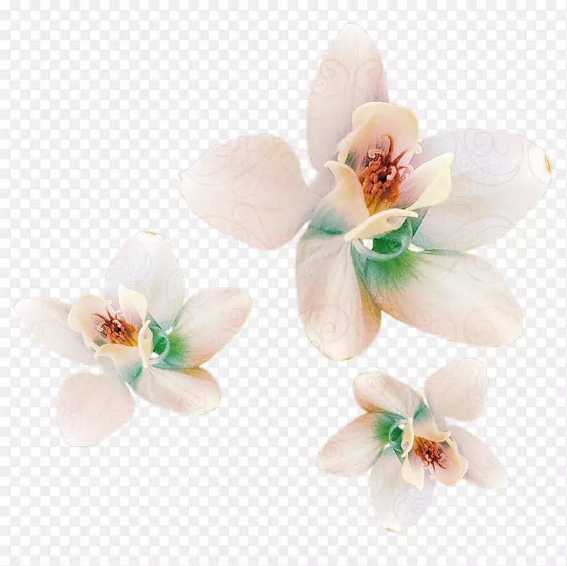 4��С����Ȼ���������ĳ����ϡ��ë.150����v.unc.nr�¶�����-�Ŷ�-������