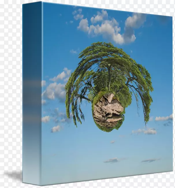 /m/02j71������ľͼƬ-����-������