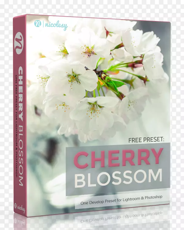 Adobe Lighttroom��Ӱ����Photoshop PSD-ӣ�Ҳ���-������